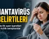 Hantavirüs Belirtileri Neler? İşte İlk Uyarı İşaretleri ve Kritik Semptomlar