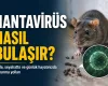 Hantavirüs Nasıl Bulaşır? Evde, Seyahatte ve Günlük Hayatta Korunma Yolları