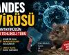 Andes Virüsü Nedir? Hantavirüsün En Tehlikeli Türü Hakkında Bilmeniz Gerekenler