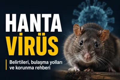 Hantavirüs Nedir? Belirtileri, Bulaşma Yolları ve Korunma Rehberi
