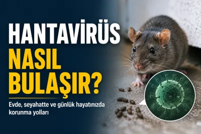 Hantavirüs Nasıl Bulaşır? Evde, Seyahatte ve Günlük Hayatta Korunma Yolları