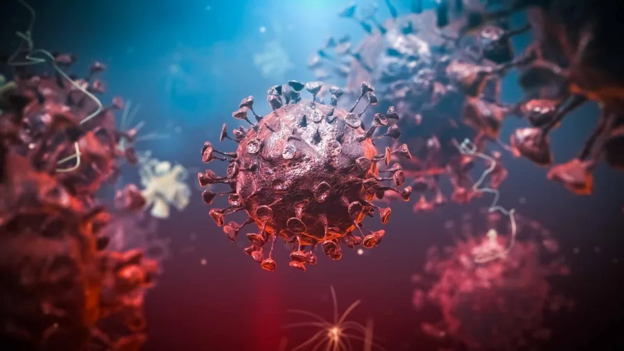 Uganda’da Ebola Alarmı! Yeni Vakalar Tespit Edildi, Toplu Ulaşım Durduruldu